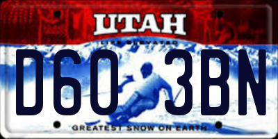 UT license plate D603BN