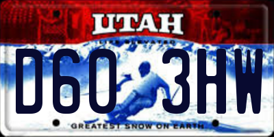 UT license plate D603HW