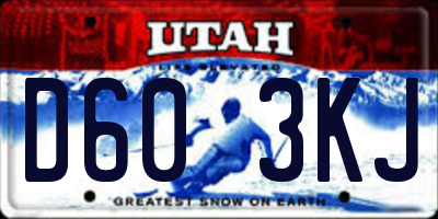 UT license plate D603KJ