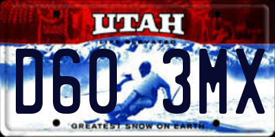 UT license plate D603MX