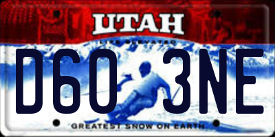 UT license plate D603NE