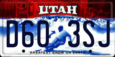 UT license plate D603SJ