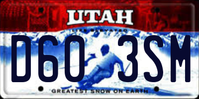 UT license plate D603SM