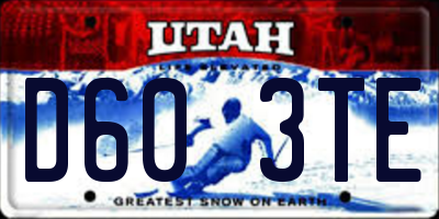 UT license plate D603TE