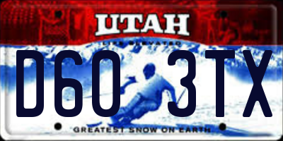 UT license plate D603TX