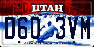 UT license plate D603VM