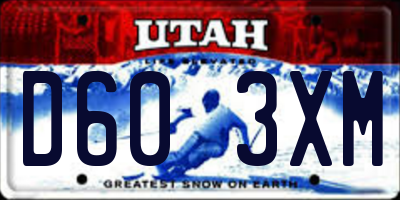 UT license plate D603XM