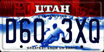 UT license plate D603XQ