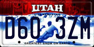 UT license plate D603ZM