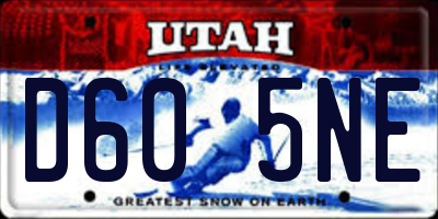 UT license plate D605NE