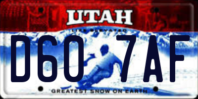 UT license plate D607AF