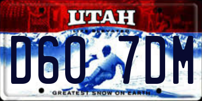 UT license plate D607DM