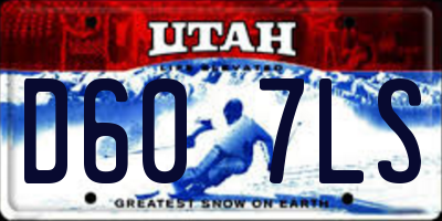 UT license plate D607LS