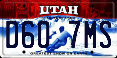 UT license plate D607MS