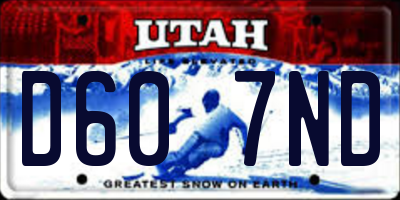 UT license plate D607ND