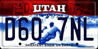 UT license plate D607NL