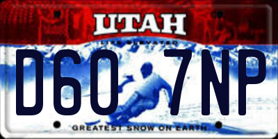 UT license plate D607NP