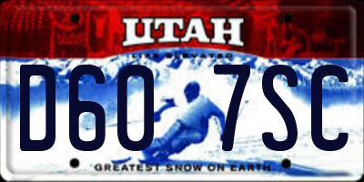 UT license plate D607SC