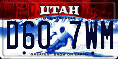 UT license plate D607WM
