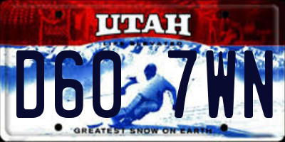 UT license plate D607WN