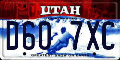 UT license plate D607XC