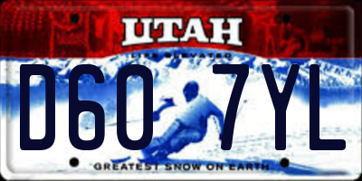 UT license plate D607YL