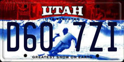 UT license plate D607ZI