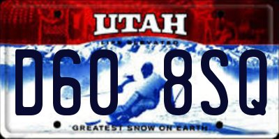 UT license plate D608SQ