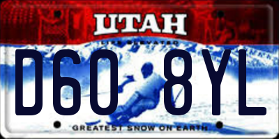 UT license plate D608YL