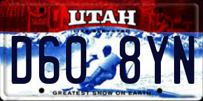 UT license plate D608YN