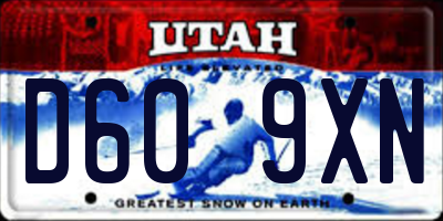UT license plate D609XN