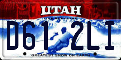 UT license plate D612LI