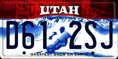 UT license plate D612SJ