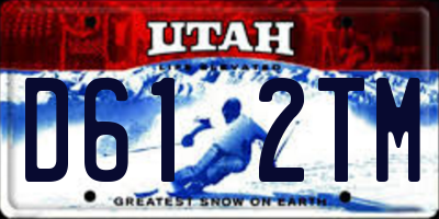 UT license plate D612TM