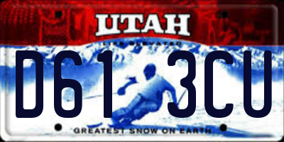 UT license plate D613CU