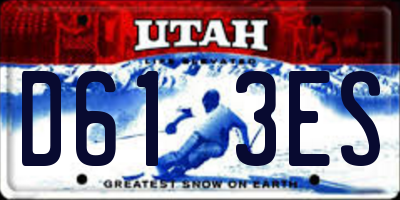 UT license plate D613ES