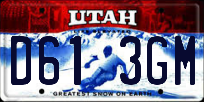 UT license plate D613GM