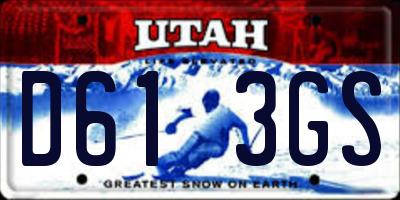 UT license plate D613GS