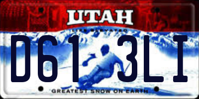 UT license plate D613LI