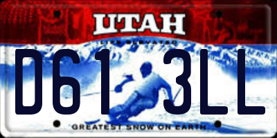 UT license plate D613LL