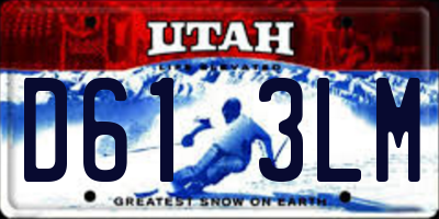 UT license plate D613LM