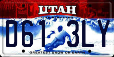 UT license plate D613LY