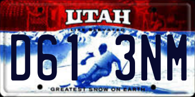 UT license plate D613NM