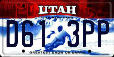 UT license plate D613PP