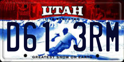 UT license plate D613RM