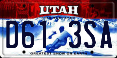 UT license plate D613SA