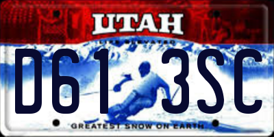 UT license plate D613SC