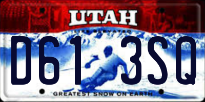 UT license plate D613SQ