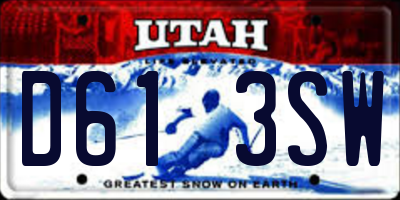 UT license plate D613SW