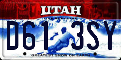 UT license plate D613SY